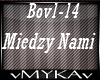 BOVSKA-MIEDZY NAMI