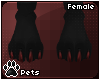 [Pets] Zom | paws