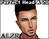Perfect Head A 20