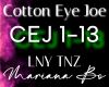 Cotton Eye Joe