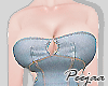 PJ Denim Dress V2