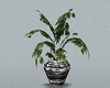 Potted Plant AC