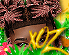 (S) xOz Nae Dreads '25
