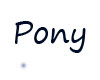 pony picture