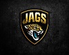 [M]Jacksonville Jaguars