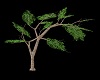 Tree Climb - Animated