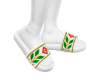 CasaBlanca Slides