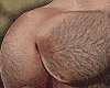 Mucle Body Hair