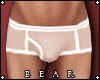 B | Brown Panties