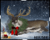 H* Xmas Reindeer