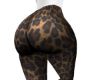 SoBe Leggings FIERCE