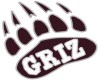 Grizz sticker football