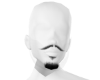 beard man