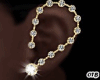 Earrings Gold~Diamond