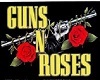 guns & roses pooltable