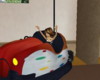 BUMPER CARS (animated)