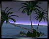 ~Island Palm Trees~