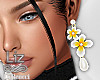 Frangipani Earrings