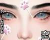 空 Lollipop Cat II 空