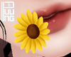 ᵖ Sunflower Mouth F