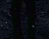 Moon Magic pants