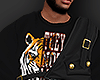 (+_+)THE LION