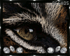 ♥ K-l Tiger Eye Frame