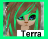 LC-Terra Hair 2