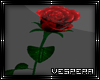 -V- A Rose for you