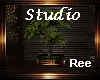 Ree|STUDIO PLANT
