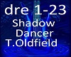Shadow Dancer