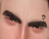 F. Brows Diamante