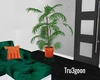 TG| Tangy Plant