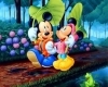Mickey N Minnie Nursery