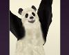 Wiggle Dancing Panda Dance Fun Funny Hilarious Bear Bears Animal