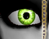[D] Crystal Eyes:Lime