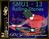 SMU1 - 13