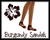 Burgundy Sandals