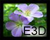 E3D-Flower8 Picture