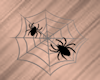 Spider~Webs