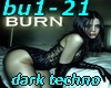 bu1-21 burn