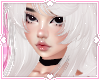 ❀. kayda | yuki