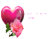 Love-Rose(474x283)