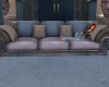 !!Midnight Couch