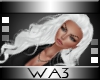 WA3 Grasia White