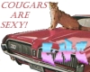C-N-C Cougars are sexy