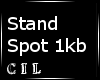 *C* Standing Spot Low kb
