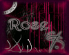 [R] Rose (Updated)