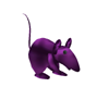 purple mouse toy