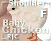 Jem Baby Chick Cozy F